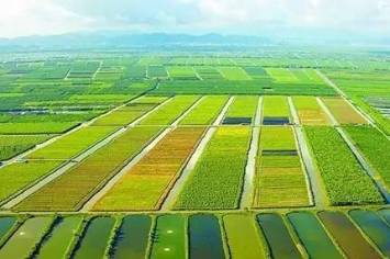 农村经济综合管理专业